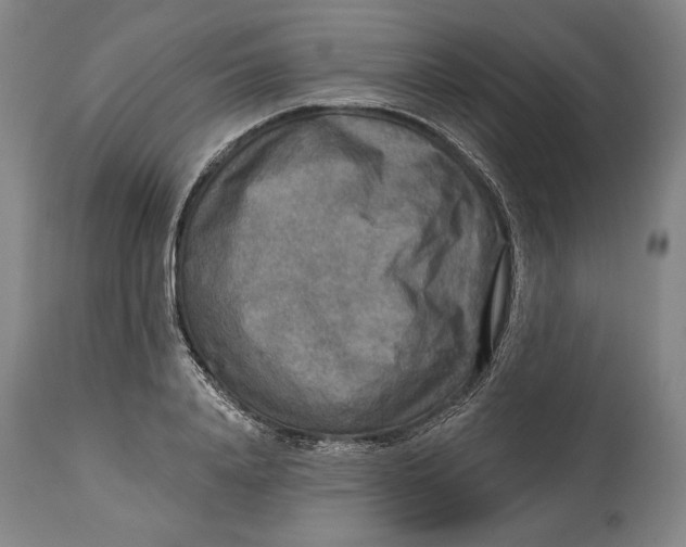 X0000114650840200911101319