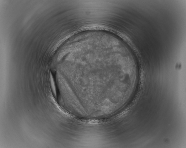 X0000114650841200911101319