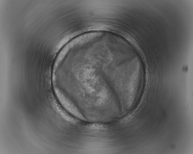 X0000114650842200911101319