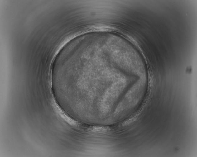 X0000114650843200911101319