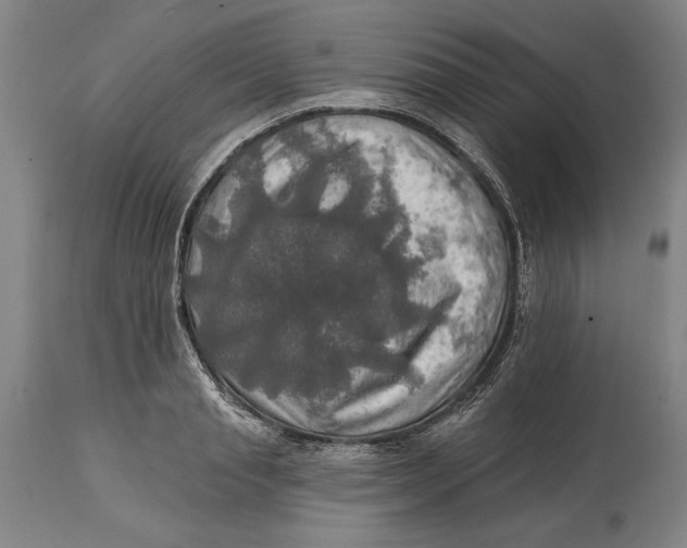 X0000114650845200911101319