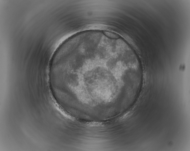 X0000114650846200911101319