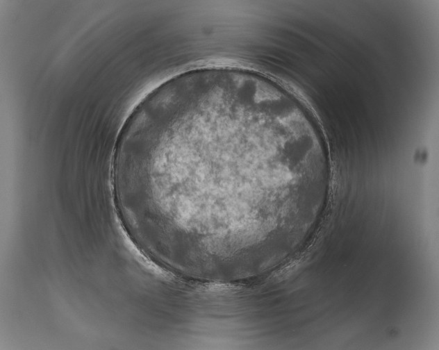 X0000114650847200911101319