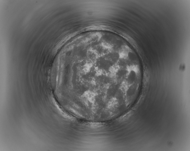 X0000114650849200911101319