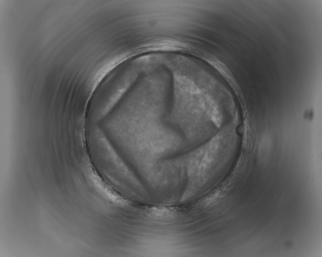 X0000114650850200911101319