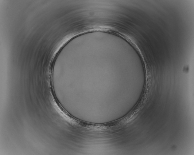 X0000114650851200911101319