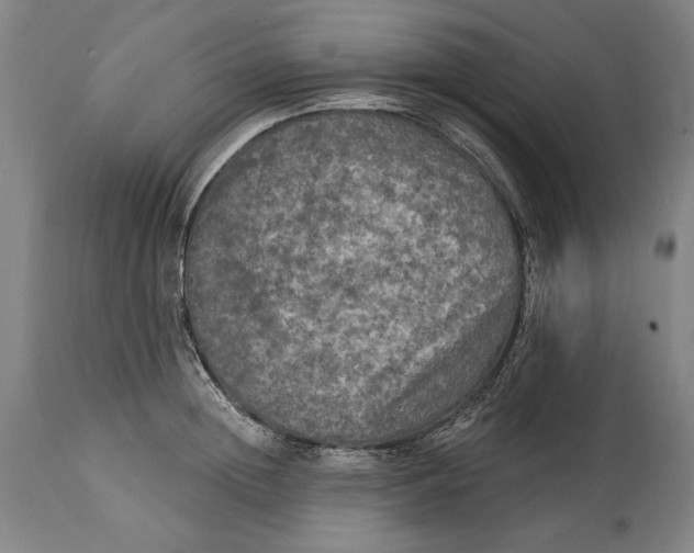 X0000114650852200911101319