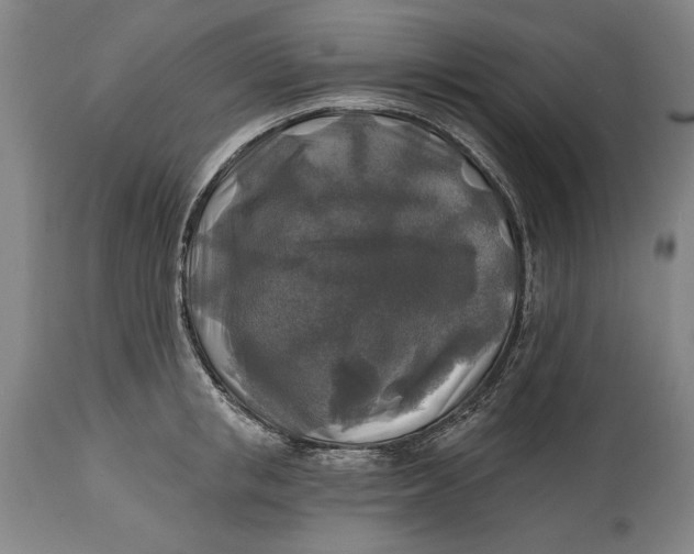 X0000114650853200911101319