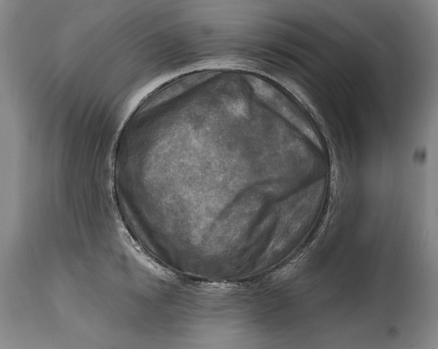 X0000114650854200911101319