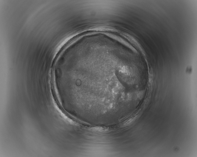 X0000114650855200911101319