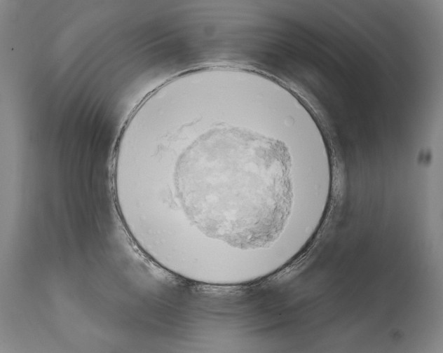 X0000114650856200911101319