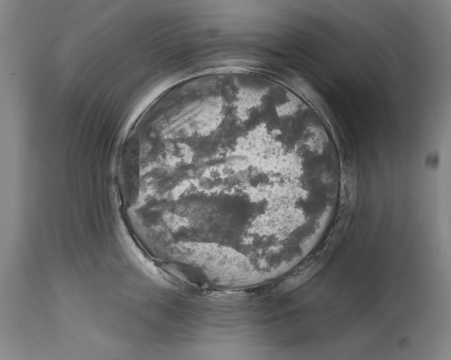 X0000114650859200911101319