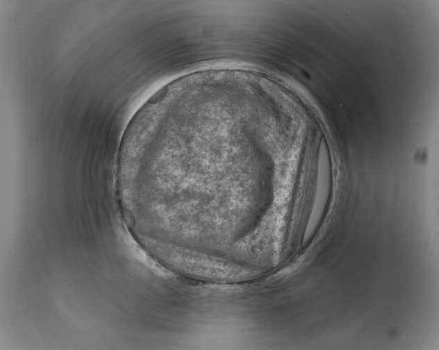 X0000114650860200911101319