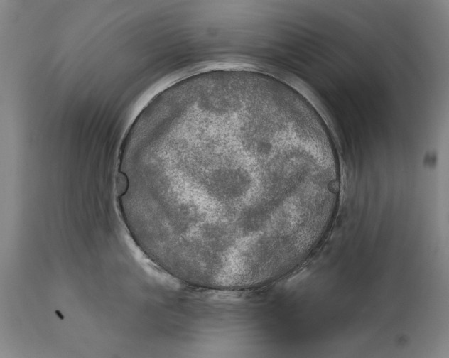 X0000114650861200911101319