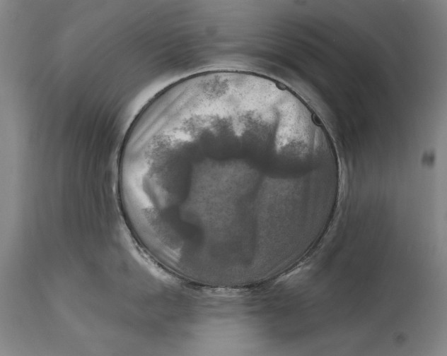 X0000114650862200911101319