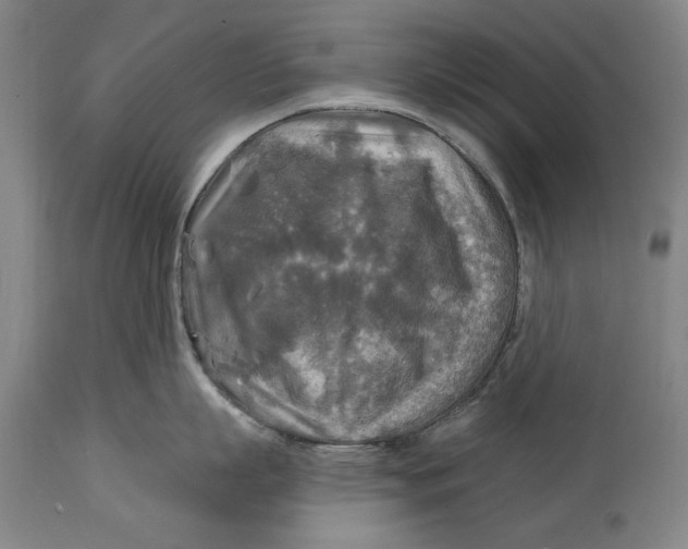 X0000114650863200911101319