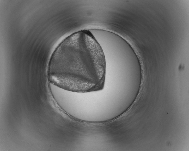 X0000114650864200911101319