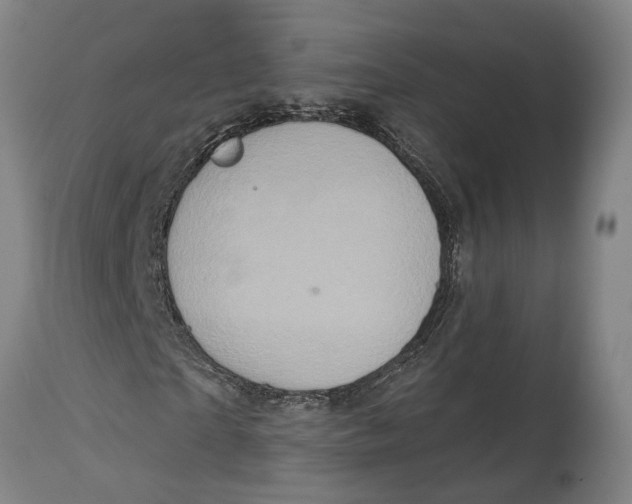 X0000114650865200911101318