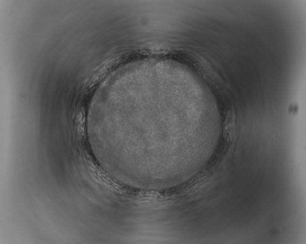 X0000114650866200911101318