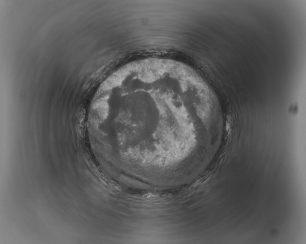 X0000114650867200911101318