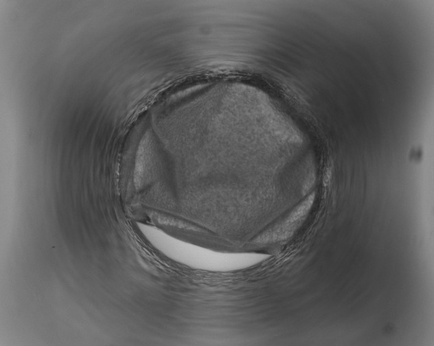 X0000114650868200911101318