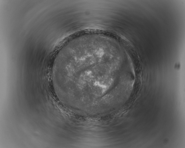 X0000114650870200911101318