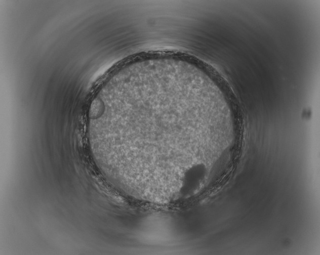 X0000114650871200911101318