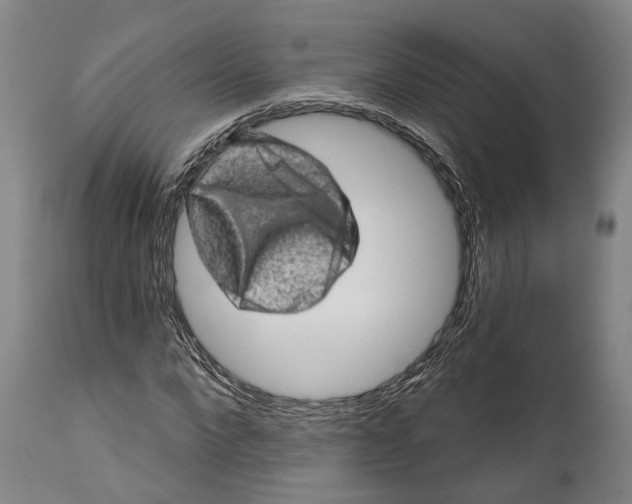 X0000114650872200911101318