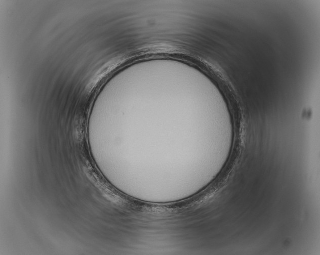 X0000114650873200911101318