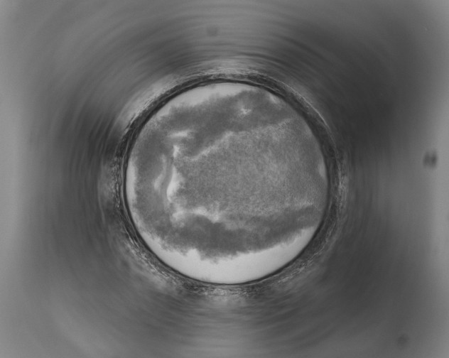 X0000114650874200911101318