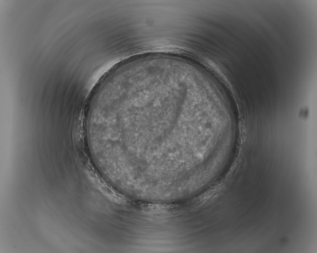 X0000114650875200911101318