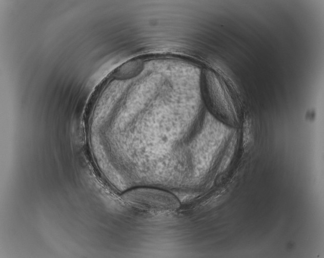 X0000114650876200911101318