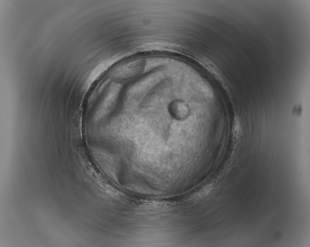 X0000114650877200911101318