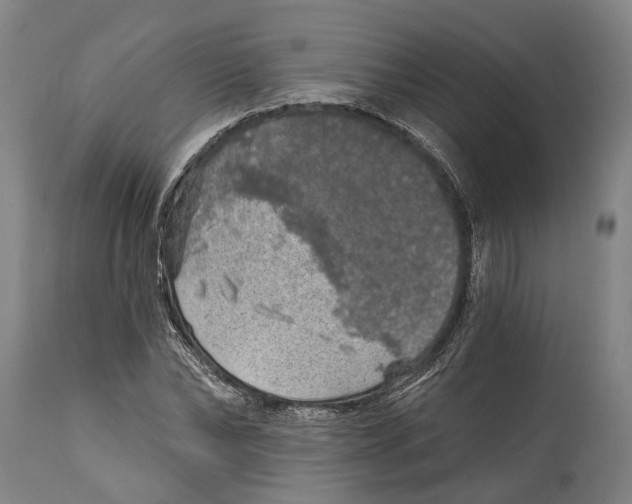 X0000114650878200911101318