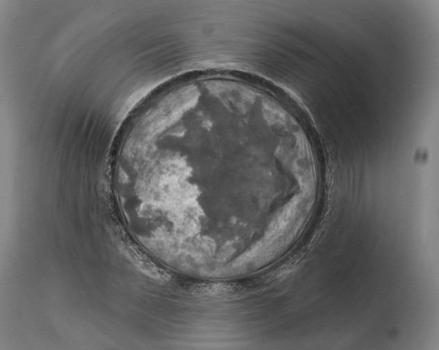 X0000114650879200911101318