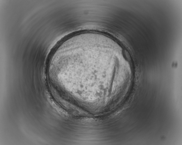 X0000114650880200911101318