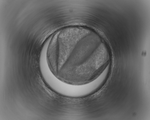 X0000114650881200911101318