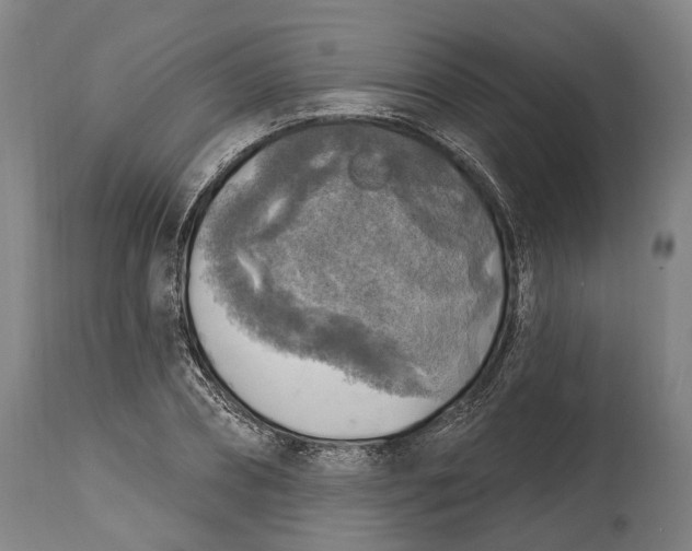 X0000114650882200911101318