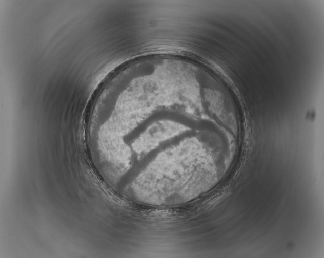 X0000114650883200911101318