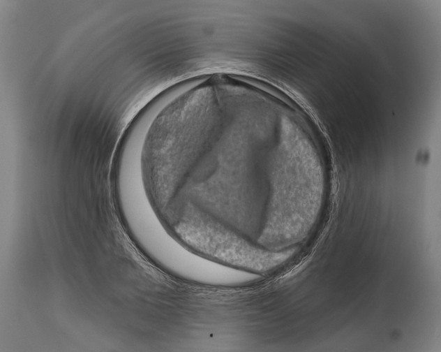 X0000114650885200911101318