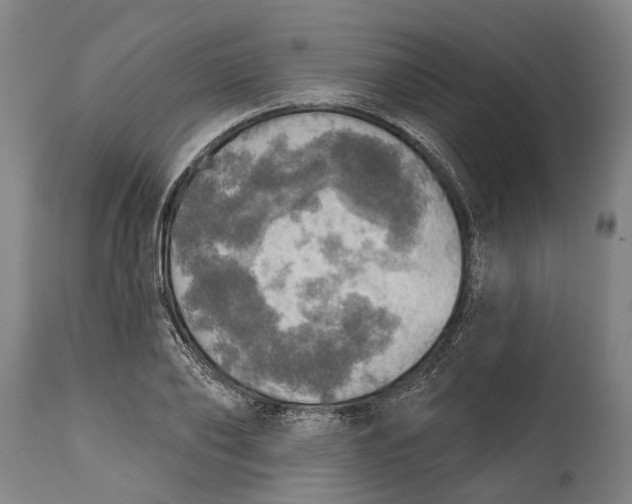 X0000114650886200911101318