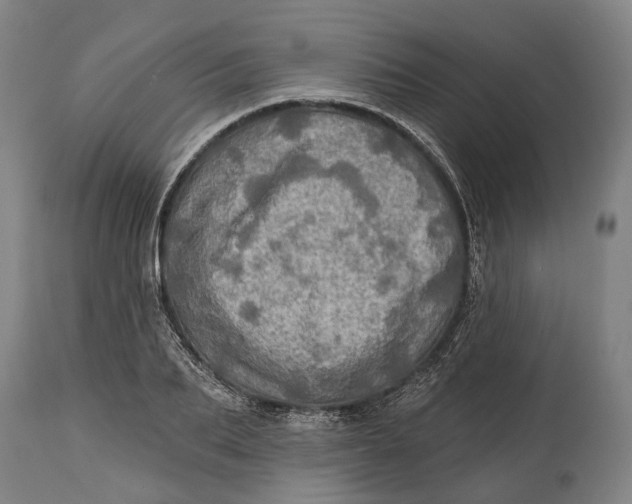 X0000114650887200911101318