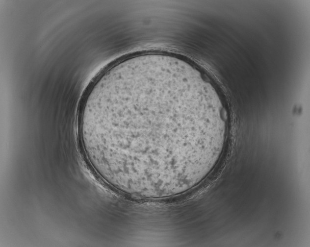 X0000114650888200911101318