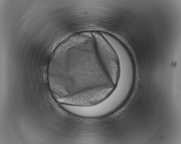 X0000114650889200911101318