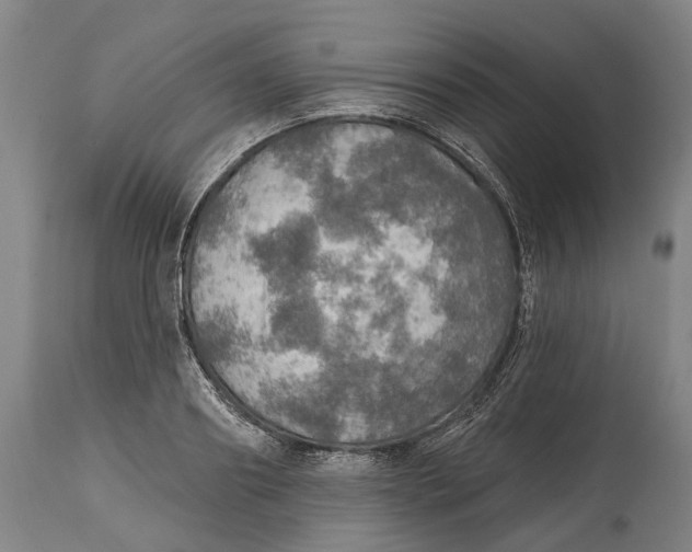 X0000114650890200911101318