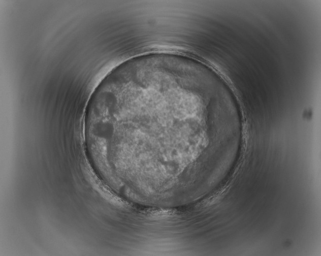 X0000114650891200911101318