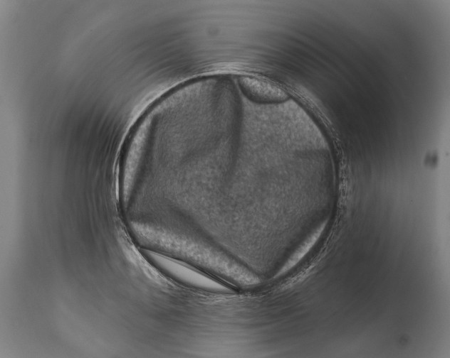 X0000114650892200911101318