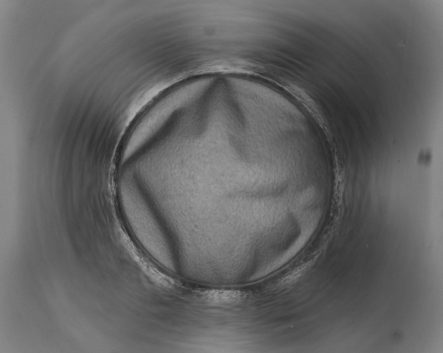 X0000114650893200911101318