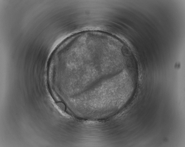 X0000114650894200911101318