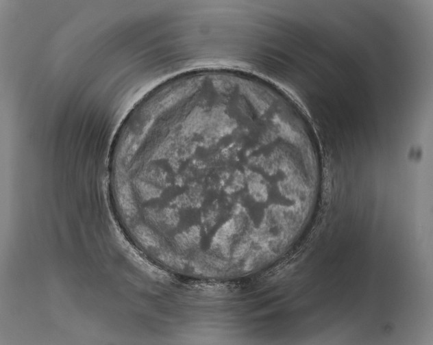 X0000114650895200911101318